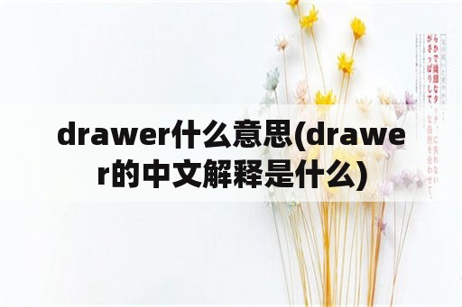 drawer什么意思(drawer的中文解释是什么)