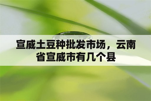 宣威土豆种批发市场，云南省宣威市有几个县