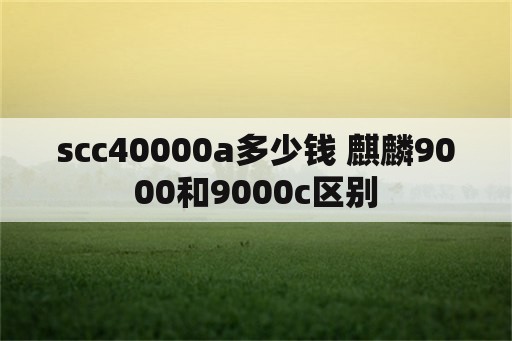 scc40000a多少钱 麒麟9000和9000c区别